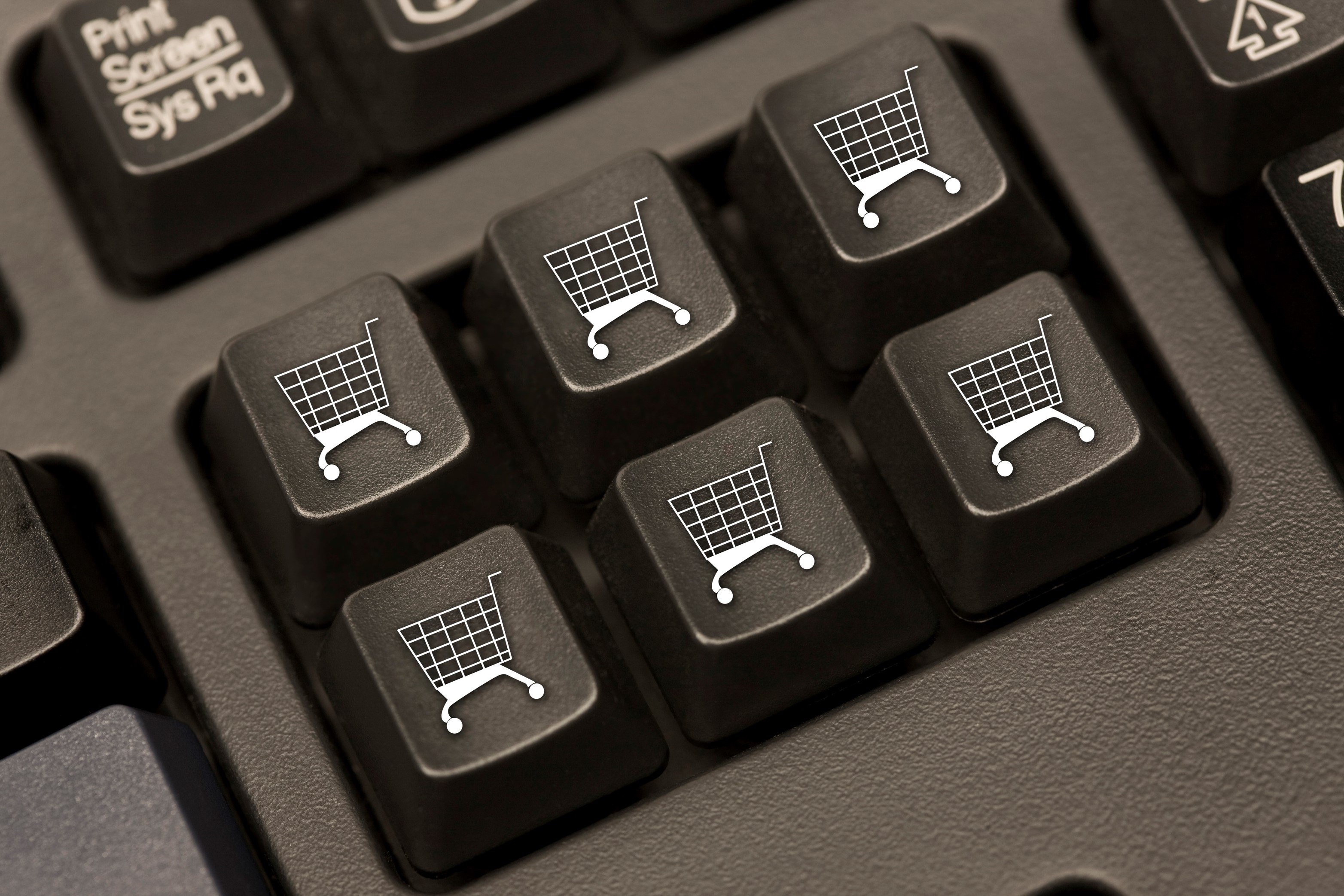 12월 첫째주｜올라레터｜국내 이커머스 업체 비상, 1688닷컴 한국 플랫폼 출시 예정!